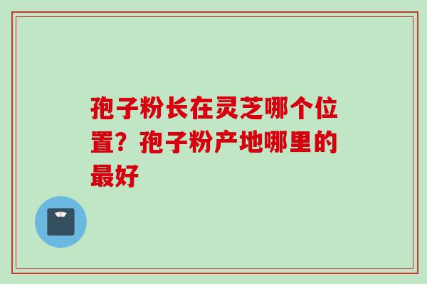 孢子粉长在灵芝哪个位置？孢子粉产地哪里的最好
