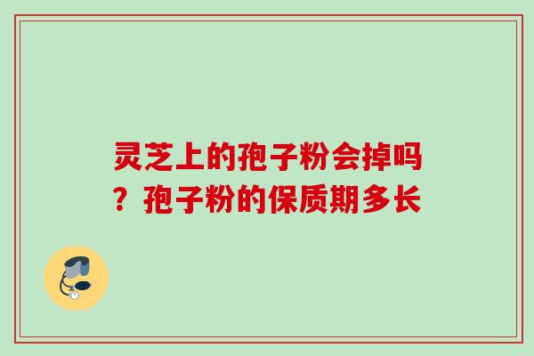 灵芝上的孢子粉会掉吗？孢子粉的保质期多长
