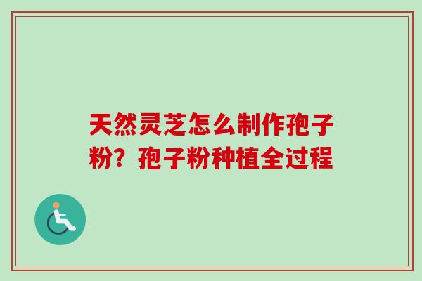 天然灵芝怎么制作孢子粉？孢子粉种植全过程