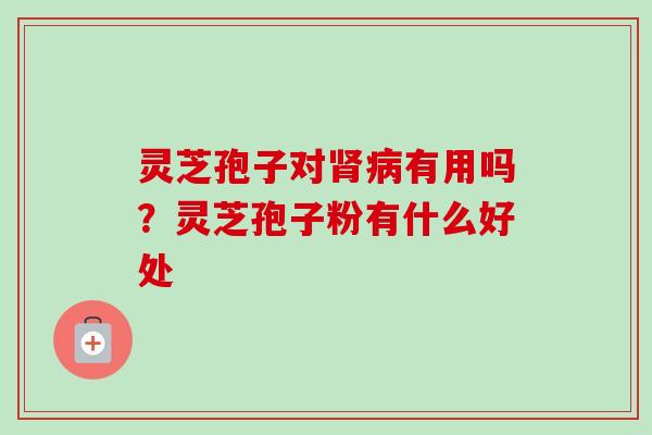 灵芝孢子对肾病有用吗？灵芝孢子粉有什么好处