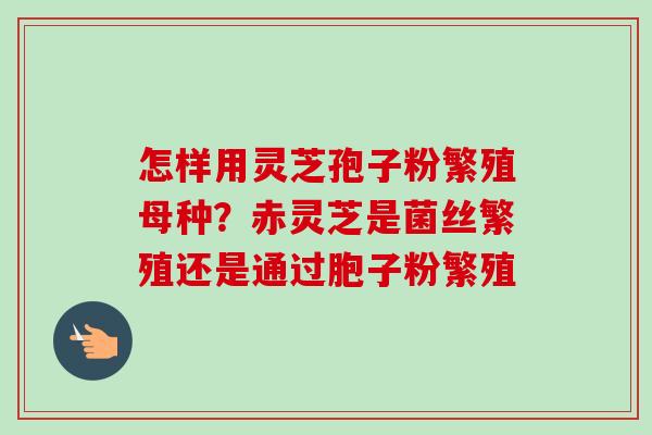 怎样用灵芝孢子粉繁殖母种？赤灵芝是菌丝繁殖还是通过胞子粉繁殖