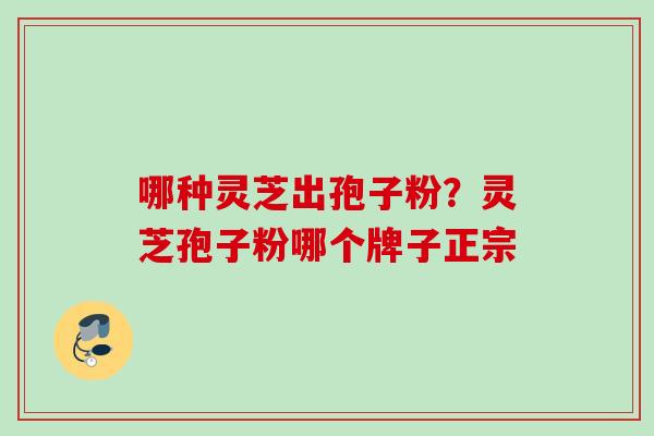哪种灵芝出孢子粉?灵芝孢子粉哪个牌子正宗 哪种灵芝出孢子粉?灵芝孢子粉哪个牌子正宗