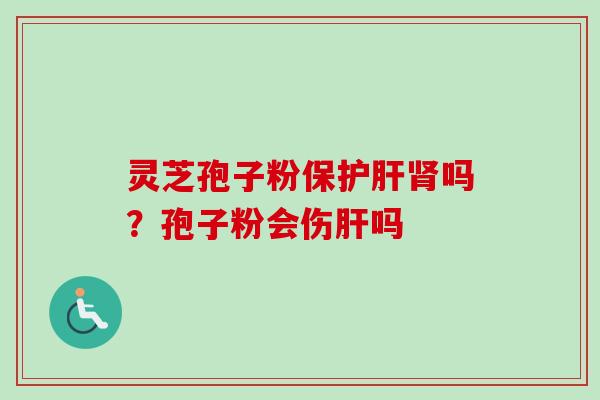 灵芝孢子粉保护肝肾吗？孢子粉会伤肝吗
