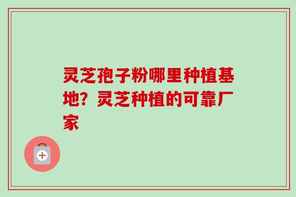 灵芝孢子粉哪里种植基地?灵芝种植的可靠厂家 灵芝孢子粉哪里种植基地?灵芝种植的可靠厂家