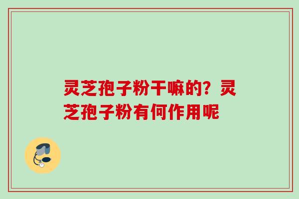 灵芝孢子粉干嘛的?灵芝孢子粉有何作用呢 灵芝孢子粉干嘛的?灵芝孢子粉有何作用呢