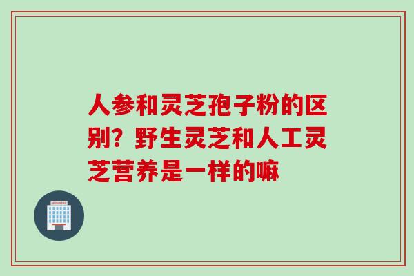人参和灵芝孢子粉的区别？野生灵芝和人工灵芝营养是一样的嘛