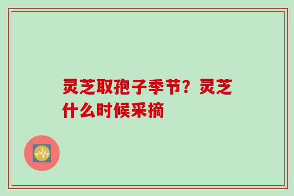 灵芝取孢子季节？灵芝什么时候采摘