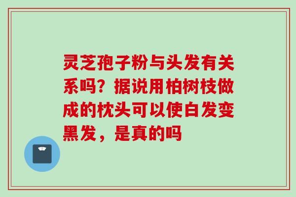 灵芝孢子粉与头发有关系吗？据说用柏树枝做成的枕头可以使白发变黑发，是真的吗