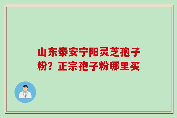 山东泰安宁阳灵芝孢子粉？正宗孢子粉哪里买