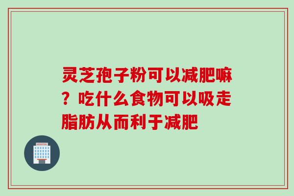 灵芝孢子粉可以减肥嘛？吃什么食物可以吸走脂肪从而利于减肥