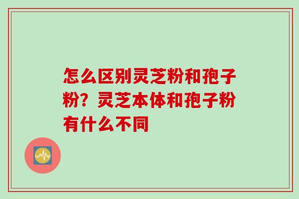 怎么区别灵芝粉和孢子粉？灵芝本体和孢子粉有什么不同