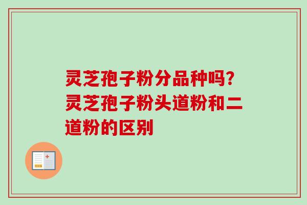 灵芝孢子粉分品种吗？灵芝孢子粉头道粉和二道粉的区别