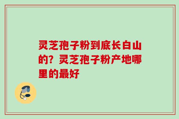 灵芝孢子粉到底长白山的？灵芝孢子粉产地哪里的最好