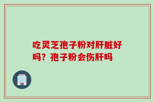 吃灵芝孢子粉对肝脏好吗？孢子粉会伤肝吗