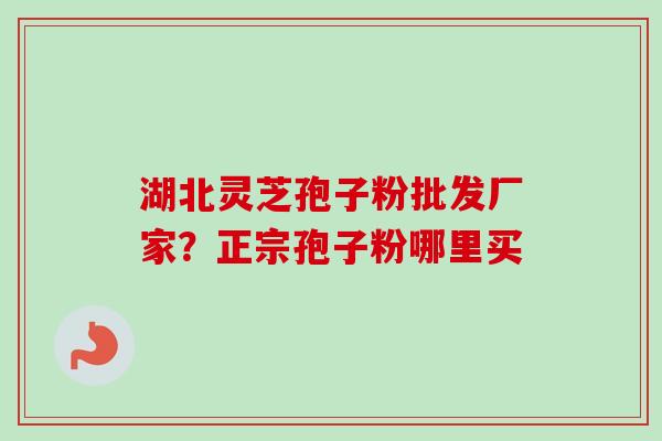 湖北灵芝孢子粉批发厂家？正宗孢子粉哪里买