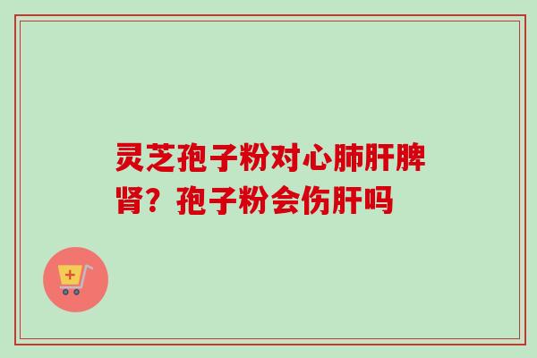 灵芝孢子粉对心肺肝脾肾？孢子粉会伤肝吗