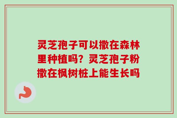 灵芝孢子可以撒在森林里种植吗？灵芝孢子粉撒在枫树桩上能生长吗