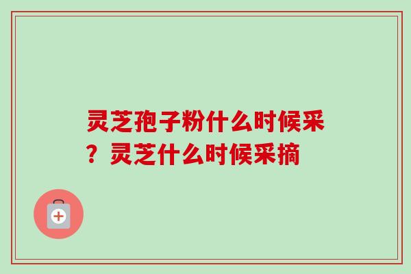 灵芝孢子粉什么时候采？灵芝什么时候采摘