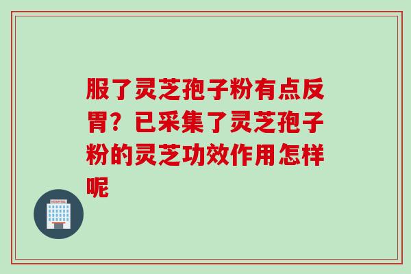 服了灵芝孢子粉有点反胃？已采集了灵芝孢子粉的灵芝功效作用怎样呢