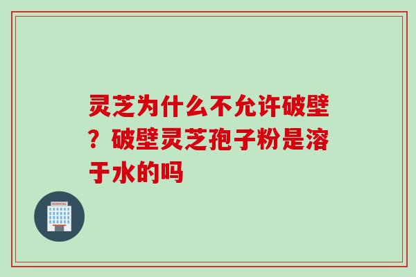 灵芝为什么不允许破壁？破壁灵芝孢子粉是溶于水的吗