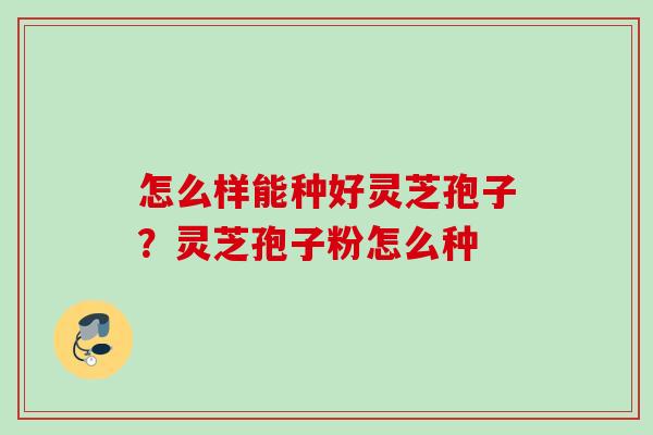 怎么样能种好灵芝孢子？灵芝孢子粉怎么种