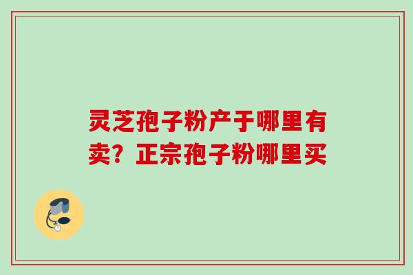 灵芝孢子粉产于哪里有卖?正宗孢子粉哪里买 灵芝孢子粉产于哪里有卖?正宗孢子粉哪里买