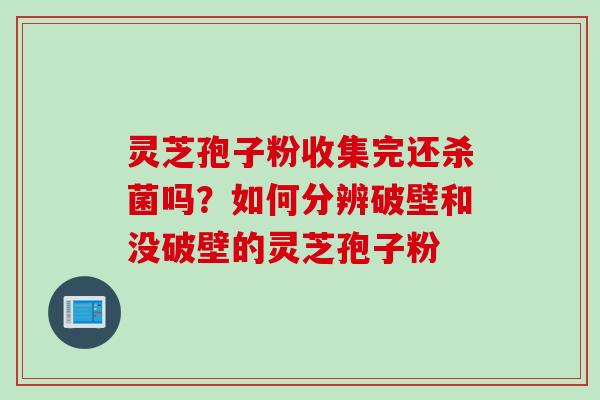 灵芝孢子粉收集完还杀菌吗？如何分辨破壁和没破壁的灵芝孢子粉