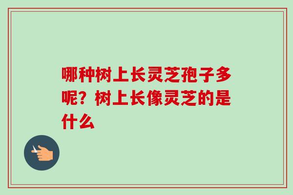 哪种树上长灵芝孢子多呢？树上长像灵芝的是什么