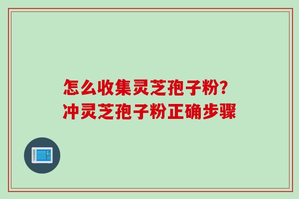 怎么收集灵芝孢子粉？冲灵芝孢子粉正确步骤