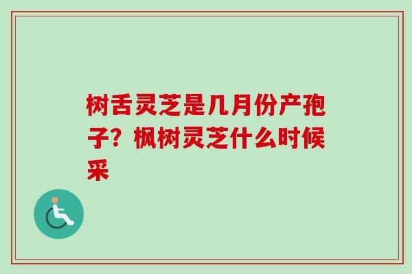 树舌灵芝是几月份产孢子？枫树灵芝什么时候采