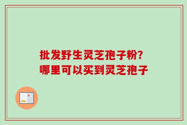 批发野生灵芝孢子粉？哪里可以买到灵芝孢子