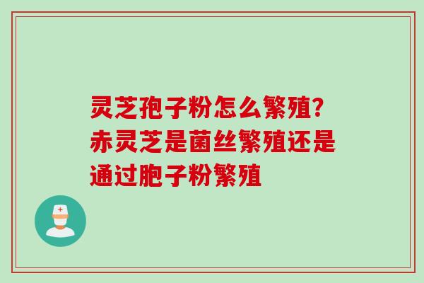 灵芝孢子粉怎么繁殖？赤灵芝是菌丝繁殖还是通过胞子粉繁殖