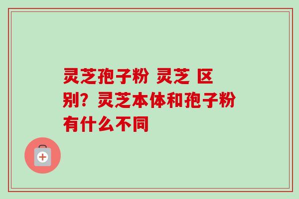 灵芝孢子粉 灵芝 区别？灵芝本体和孢子粉有什么不同