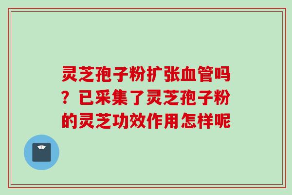 灵芝孢子粉扩张血管吗？已采集了灵芝孢子粉的灵芝功效作用怎样呢