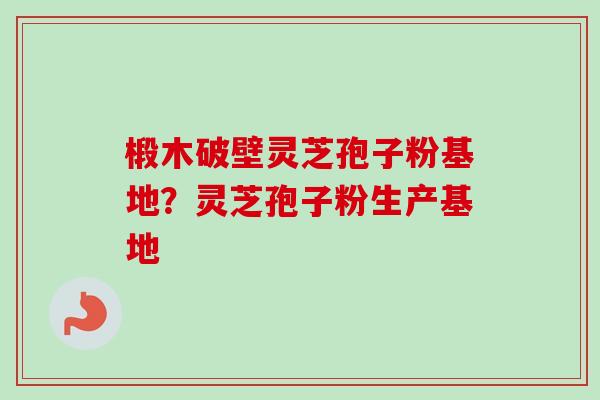 椴木破壁灵芝孢子粉基地？灵芝孢子粉生产基地