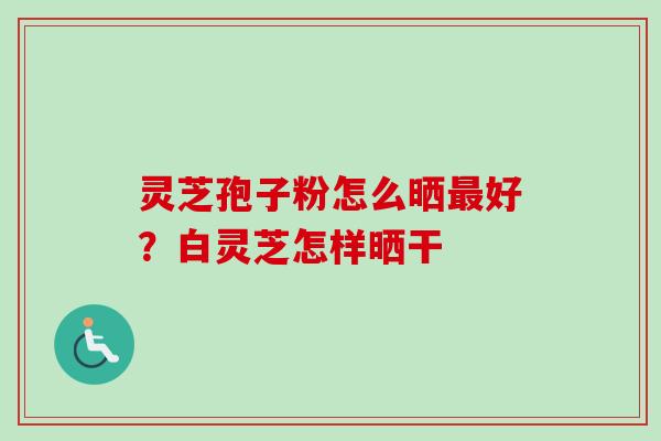 灵芝孢子粉怎么晒好？白灵芝怎样晒干