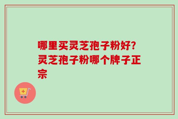 哪里买灵芝孢子粉好？灵芝孢子粉哪个牌子正宗