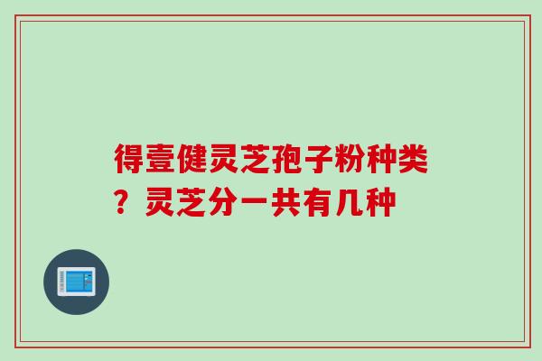 得壹健灵芝孢子粉种类？灵芝分一共有几种