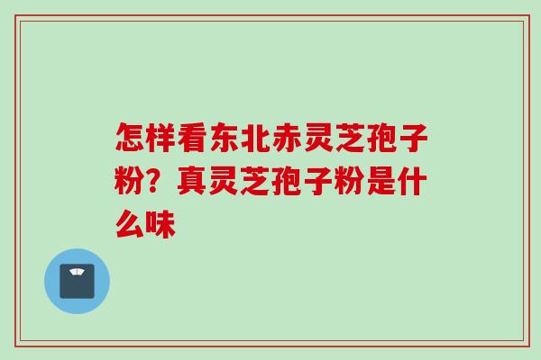 怎样看东北赤灵芝孢子粉?真灵芝孢子粉是什么味 怎样看东北赤灵芝孢子粉?真灵芝孢子粉是什么味
