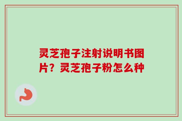 灵芝孢子注射说明书图片？灵芝孢子粉怎么种
