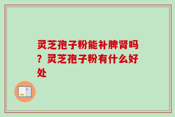 灵芝孢子粉能补脾肾吗？灵芝孢子粉有什么好处