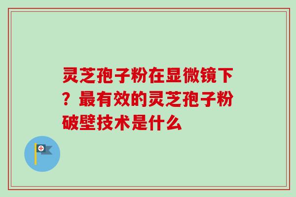 灵芝孢子粉在显微镜下?有效的灵芝孢子粉破壁技术是什么 灵芝孢子粉在显微镜下?有效的灵芝孢子粉破壁技术是什么
