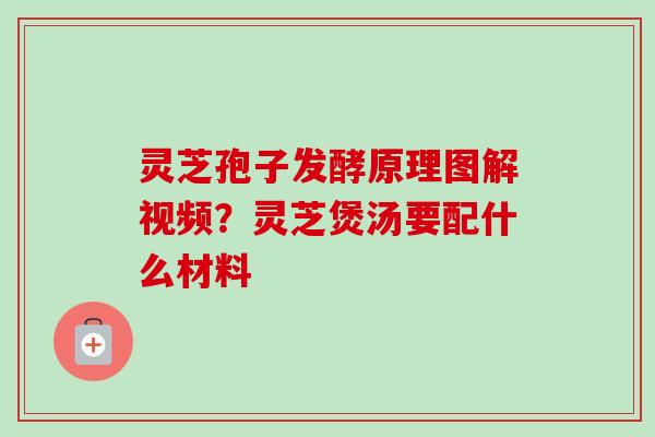 灵芝孢子发酵原理图解视频？灵芝煲汤要配什么材料