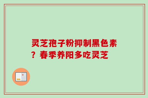 灵芝孢子粉抑制黑色素？春季养阳多吃灵芝