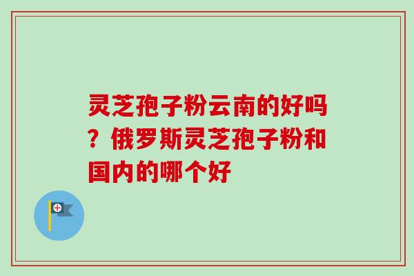 灵芝孢子粉云南的好吗？俄罗斯灵芝孢子粉和国内的哪个好