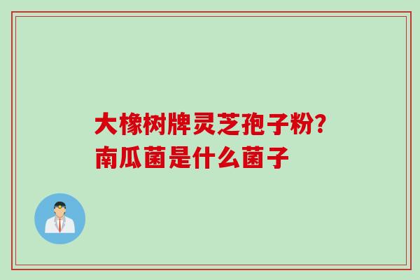 大橡树牌灵芝孢子粉？南瓜菌是什么菌子