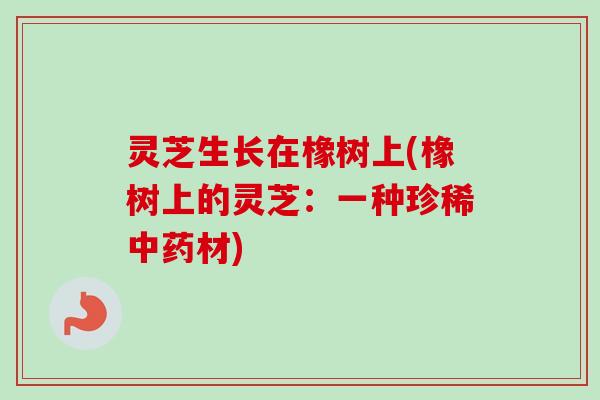 灵芝生长在橡树上(橡树上的灵芝：一种珍稀中药材)