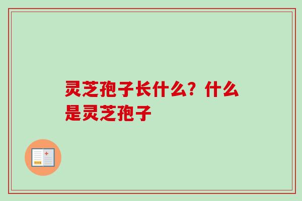 灵芝孢子长什么？什么是灵芝孢子