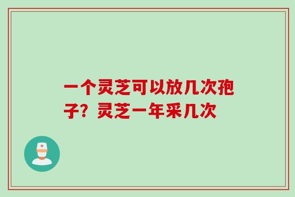 一个灵芝可以放几次孢子？灵芝一年采几次