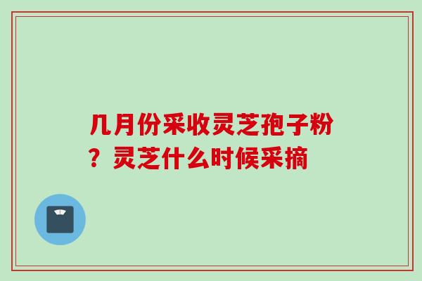 几月份采收灵芝孢子粉？灵芝什么时候采摘